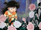 rin-roses